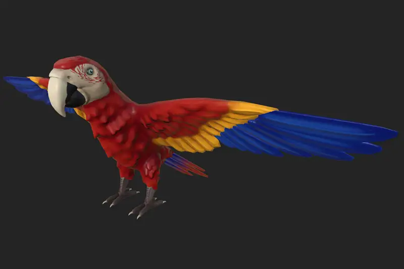 Semi-Realistic Parrot 4 Textures Asset Thumbnail