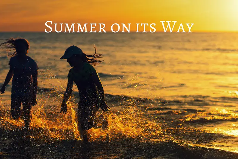 Summer on its Way Asset Thumbnail