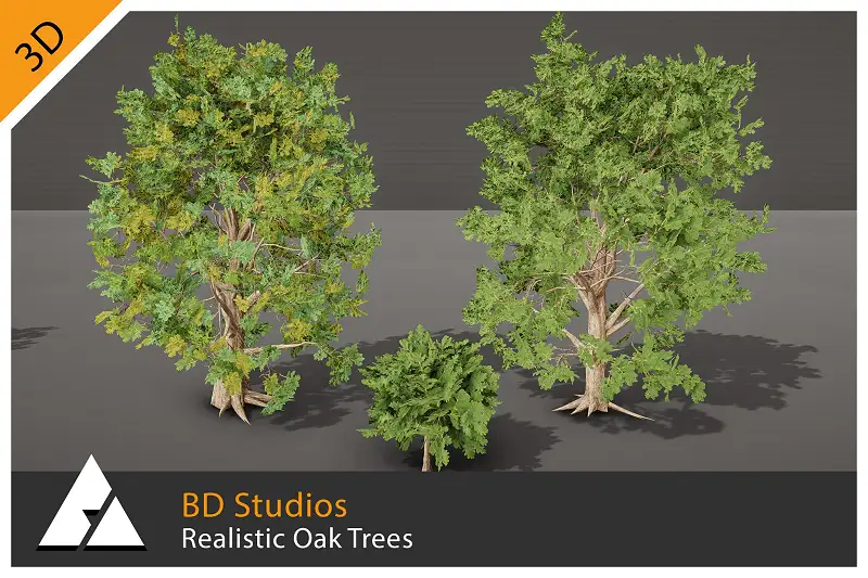 Realistic Oak Trees for Unity Asset Thumbnail