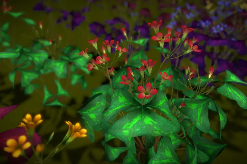 Flower Christia Species Asset Thumbnail