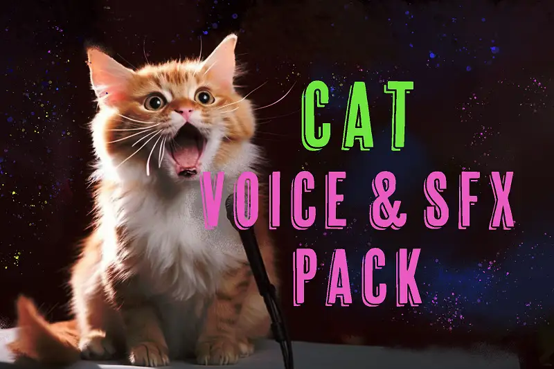 Cat Sound Effects and Music Pack Asset Thumbnail