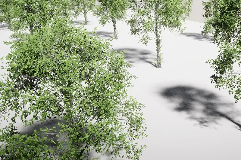 HDRP Tree Pack 10 (HighPoly) Asset Thumbnail