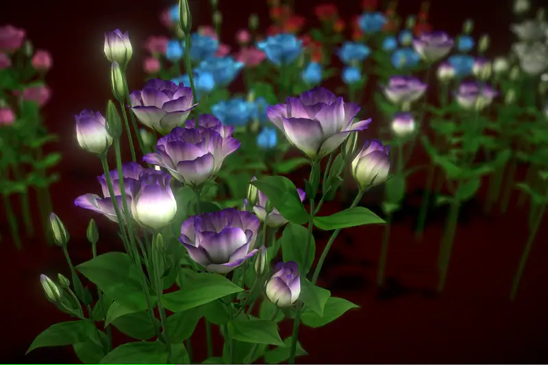 Flower Lisianthus Asset Thumbnail
