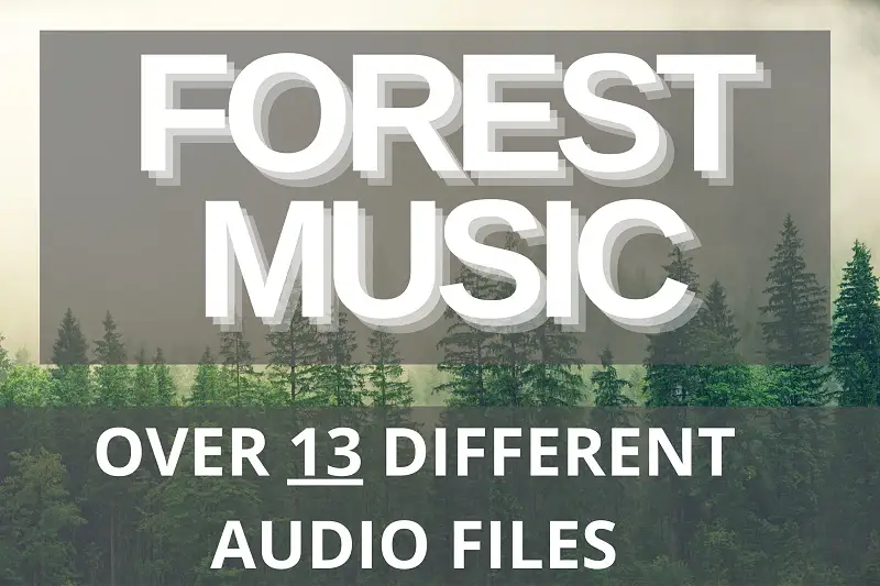 Forest Music - Drums & Ambients Asset Thumbnail
