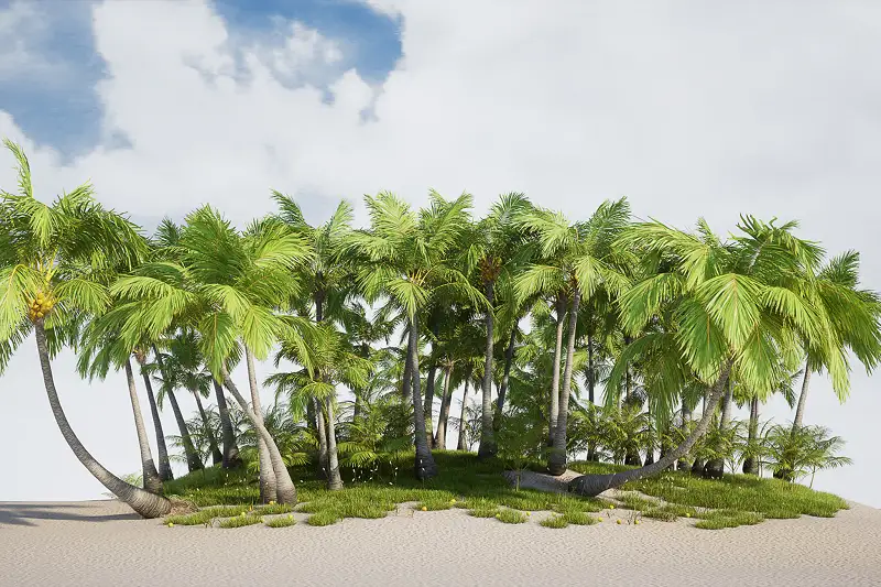 Tropical Plant Collection Asset Thumbnail