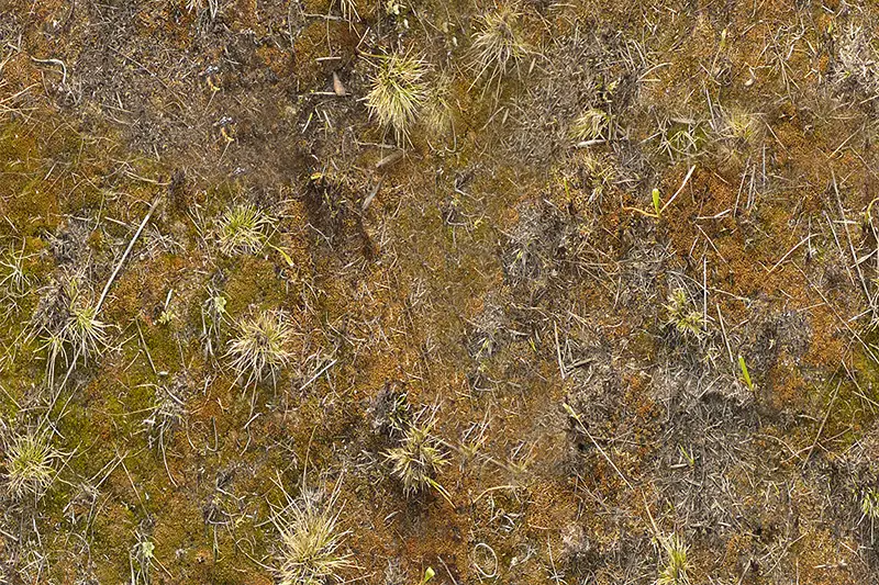 Five Ground Textures Asset Thumbnail