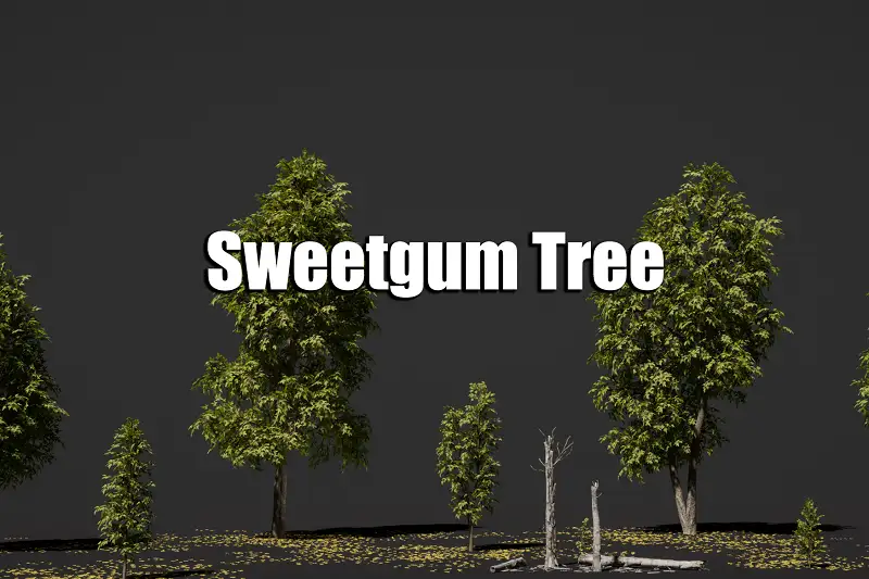 Sweetgum Tree Asset Thumbnail