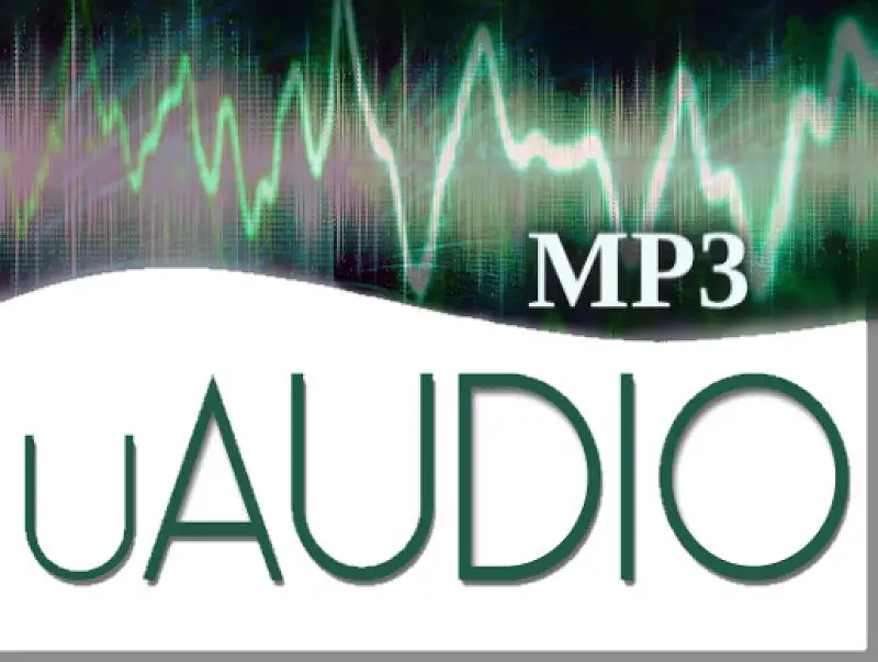 uAudio: Mp3 Player/Streamer Asset Thumbnail