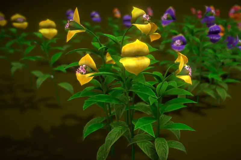 Flower Palicourea elata Asset Thumbnail
