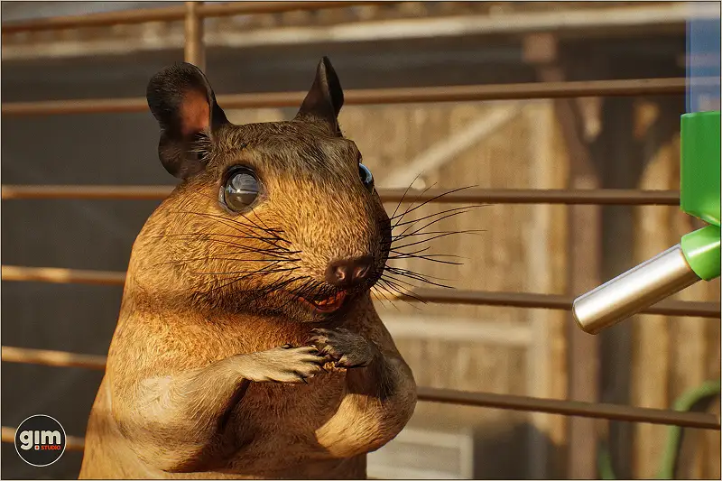 Degu Character Pack Asset Thumbnail