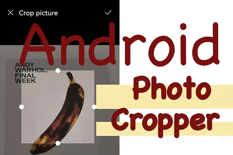 Android Photo Cropper Asset Thumbnail