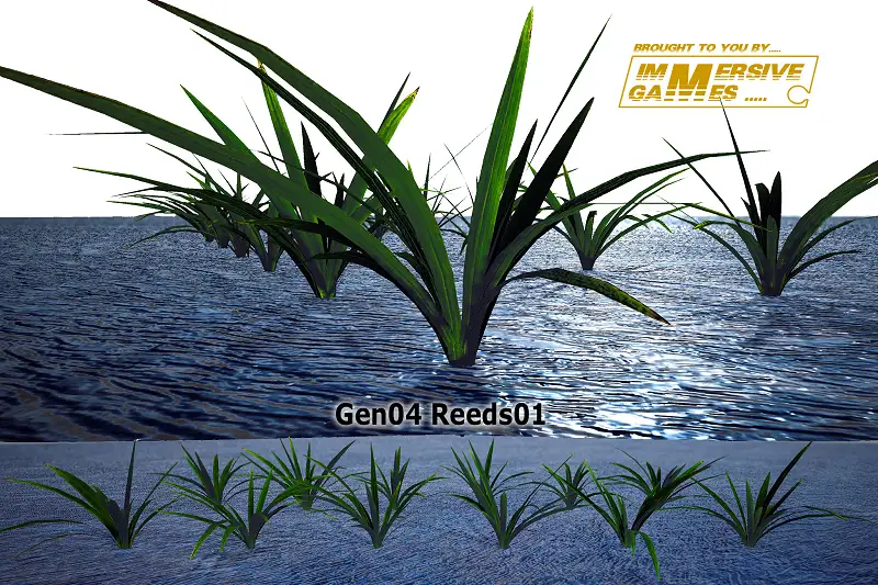 Gen04-Reeds-FREE Asset Thumbnail