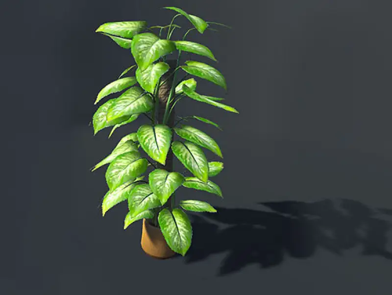 Plant 07 by Nikshail Asset Thumbnail