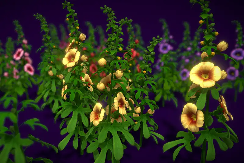 Flower Hollyhocks Asset Thumbnail
