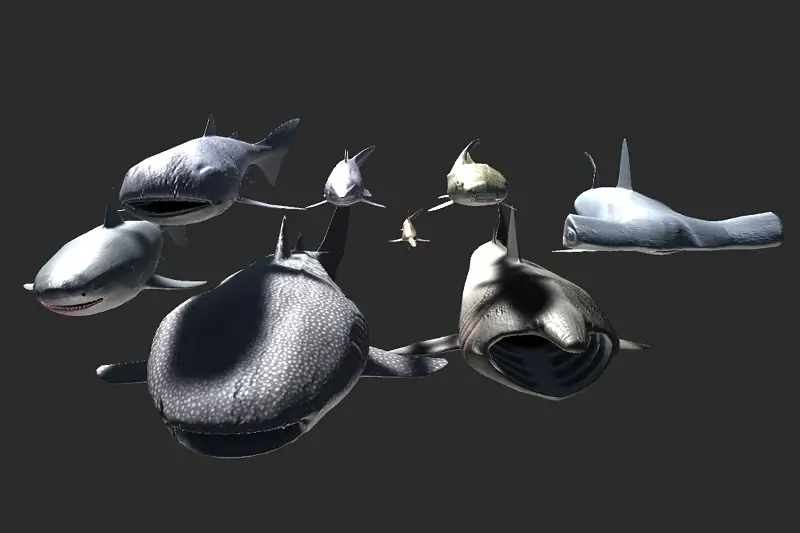 Shark pack(animated) Asset Thumbnail