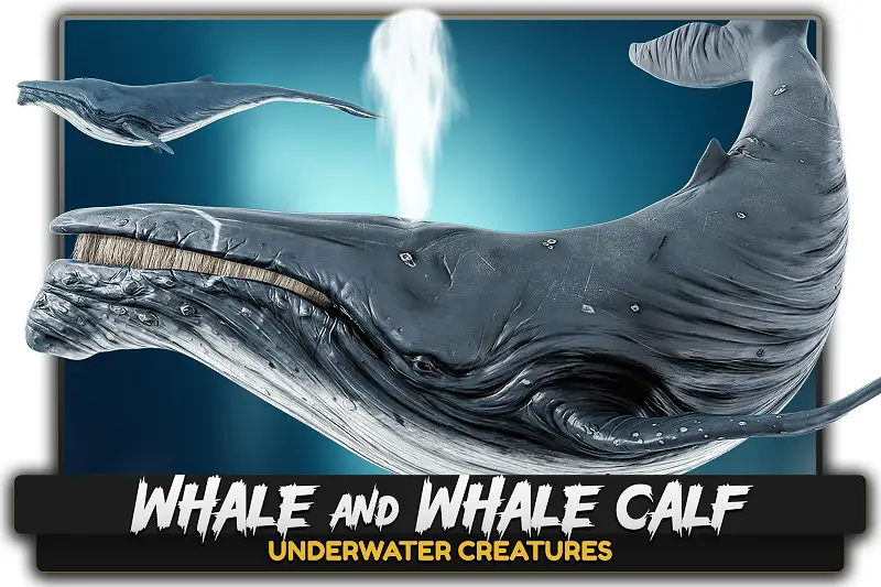 Realistic Whale and Whale Calf 3D Models for Unity Asset Thumbnail