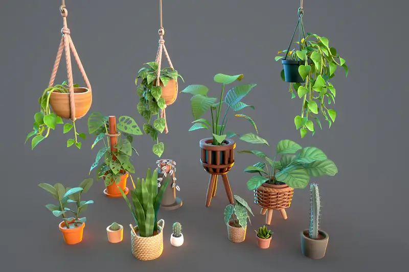 Plants&Pots Asset Thumbnail