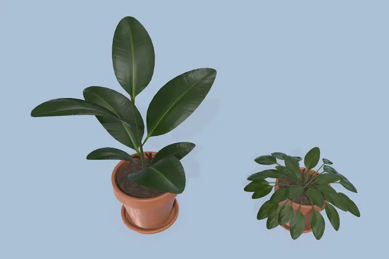 Plants PBR Asset Thumbnail