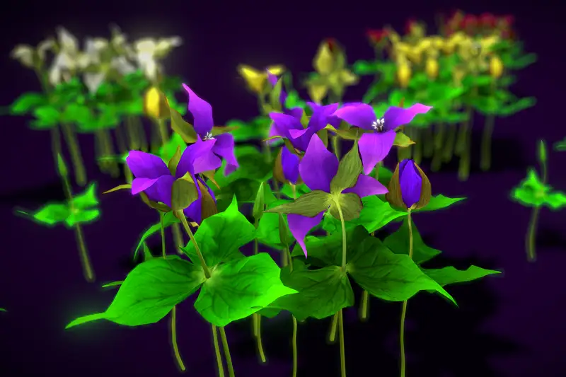 Flower Trillium Erectum Asset Thumbnail