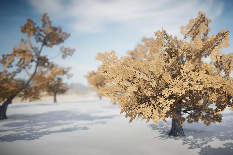 Realistic Tree Models for Unity Asset Thumbnail