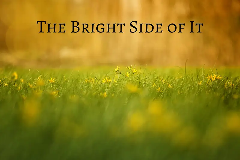 The Bright Side of It Asset Thumbnail