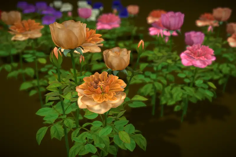 Flower Rose Juliet Asset Thumbnail