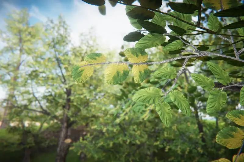 Realistic Tree Models for Mobile and Other Platforms Asset Thumbnail