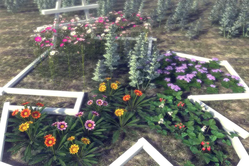 Garden Flowers and Herbs 1 Asset Thumbnail