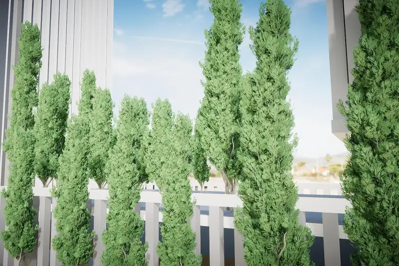 HDRP Tree Pack 14 (HighPoly) Asset Thumbnail