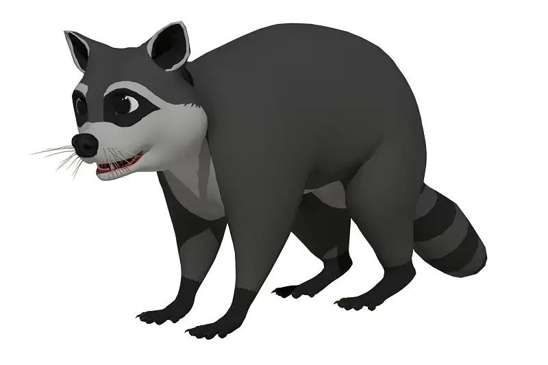 Cartoon Raccoon Asset Thumbnail