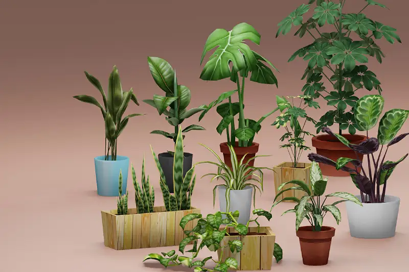 House Plant Pack Asset Thumbnail