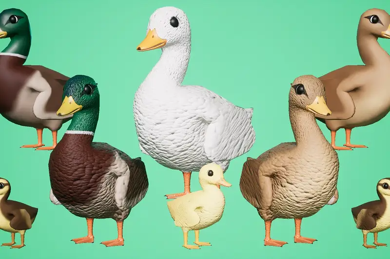 SI - Animated Duck, Drake and Duckling Asset Thumbnail