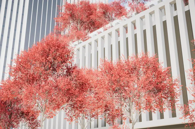 HDRP Tree Pack 4 (HighPoly) Asset Thumbnail