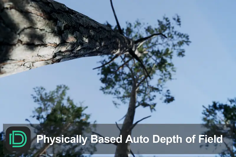 Physically Based Auto Depth of Field Asset Thumbnail