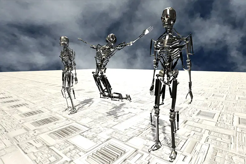 Humanoid Robot Skeleton Asset Thumbnail
