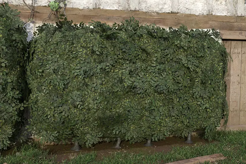 Garden Hedge Assets for Unity Asset Thumbnail