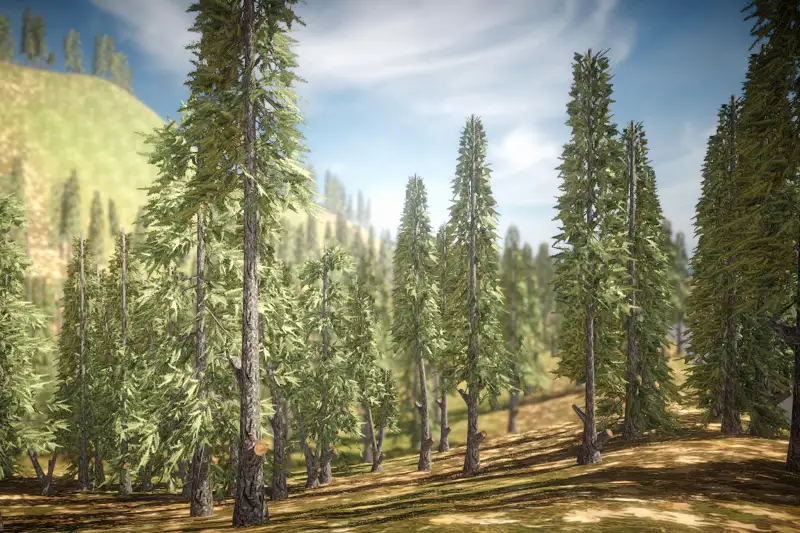 URP Pine Tree 2 (Mobile) Asset Thumbnail