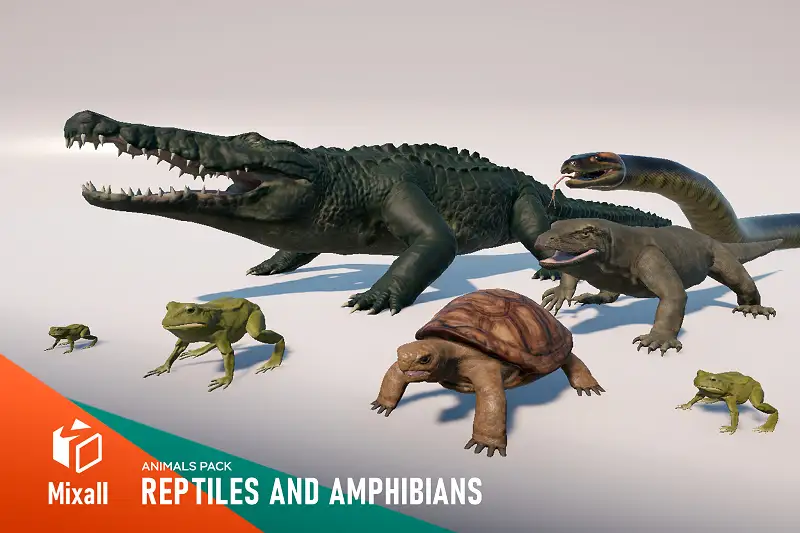 Reptiles and Amphibians - Animals Pack Asset Image