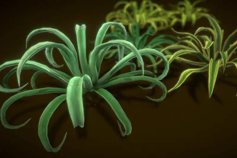 Tree Octopus Agave Asset Thumbnail