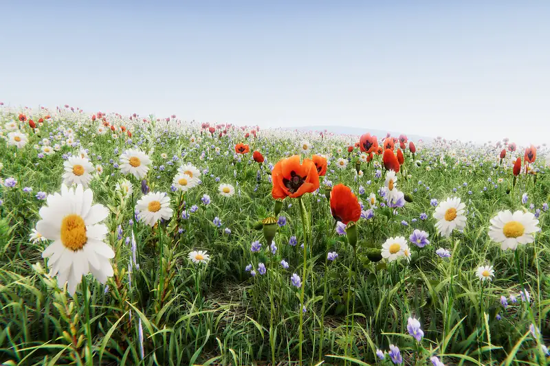 Realistic Grass Flowers Pack Asset Thumbnail