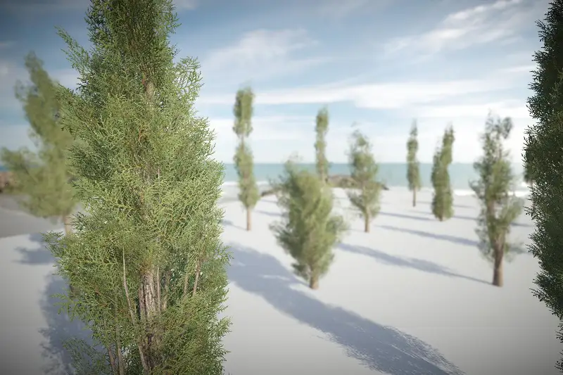 URP Realistic Tree 2 (Mobile) Asset Thumbnail