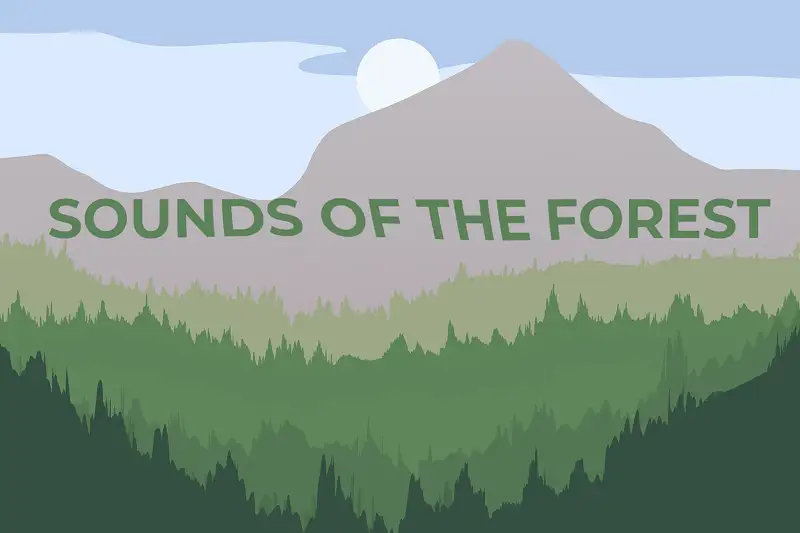 Sounds of the Forest (unique nature foley) Asset Thumbnail