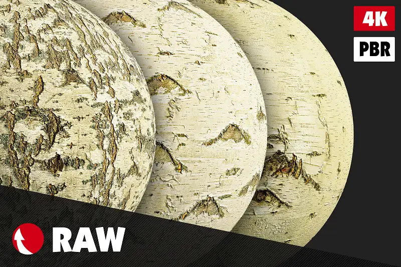 Birch Bark Textures Pack #3 Asset Thumbnail