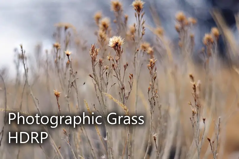 Photographic Grass HDRP Package Asset Thumbnail