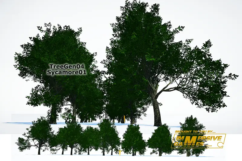TreeGen04-Sycamore01 Asset Thumbnail