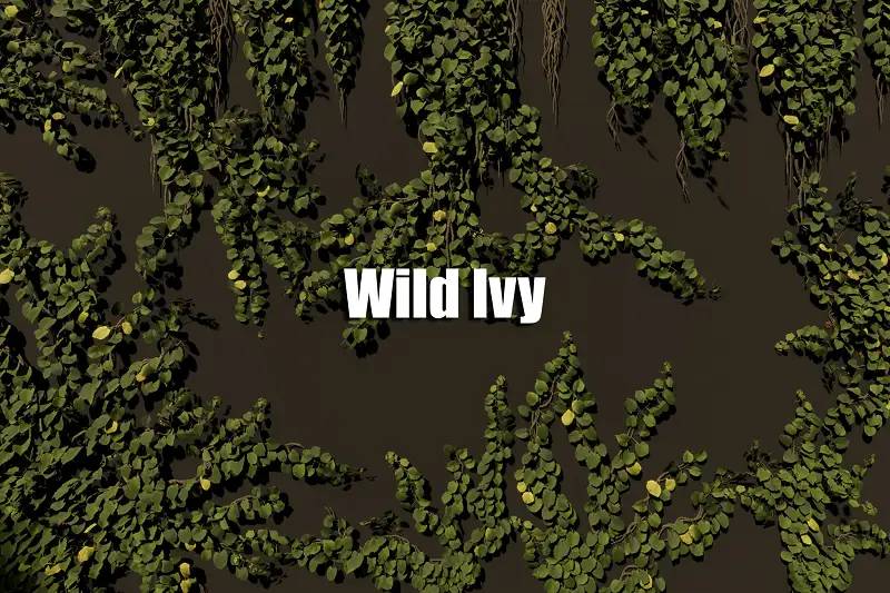 Wild Ivy Asset Thumbnail