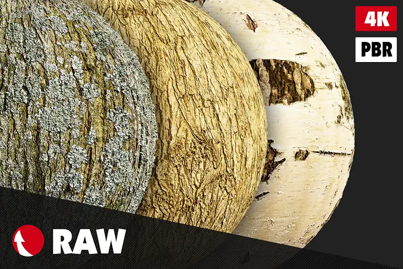 Bark Textures Pack Asset Thumbnail