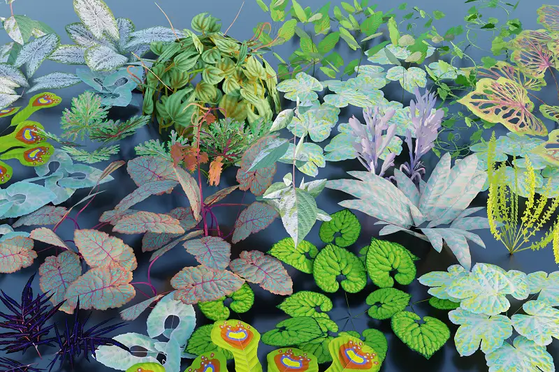 Splash of Color - Unique Photogrammetry Plants Asset Thumbnail