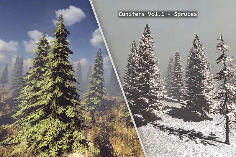 Conifers Vol.1 - Spruces Asset Thumbnail