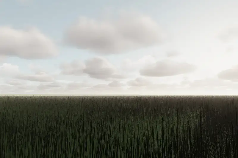 Thick Phat Grass Asset Image